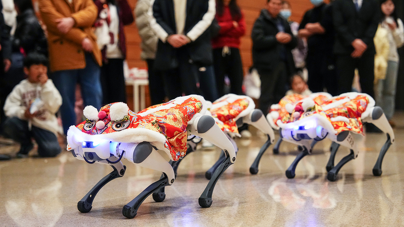 Les chiens robots illuminent Pékin avec une danse du lion vibrante