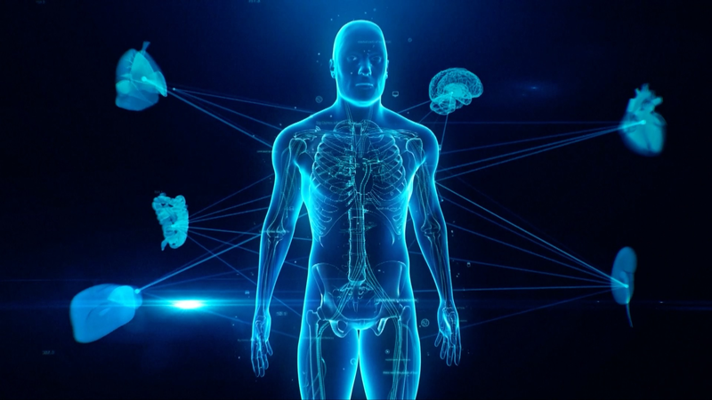 Les scientifiques de la Chine continentale lancent un projet révolutionnaire de recherche sur les cellules Les scientifiques de la Chine continentale lancent un projet révolutionnaire de recherche sur les cellules video poster