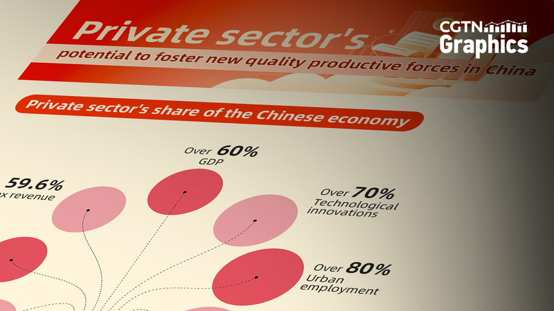 Les dirigeants chinois soutiennent le secteur privé pour l’innovation en 2025 Les dirigeants chinois soutiennent le secteur privé pour l'innovation en 2025