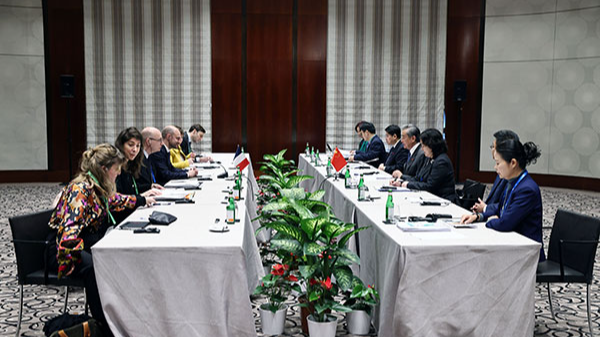 Wang Yi appelle à une alliance dynamique entre la Chine et la France pour la stabilité mondiale Wang Yi appelle à une alliance dynamique entre la Chine et la France pour la stabilité mondiale