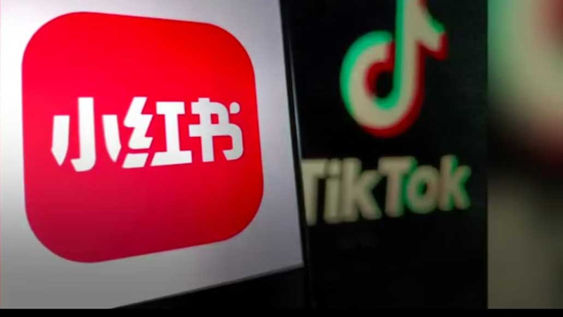 Quand TikTok s'éteint : Explorer l'attrait viral de RedNote video poster