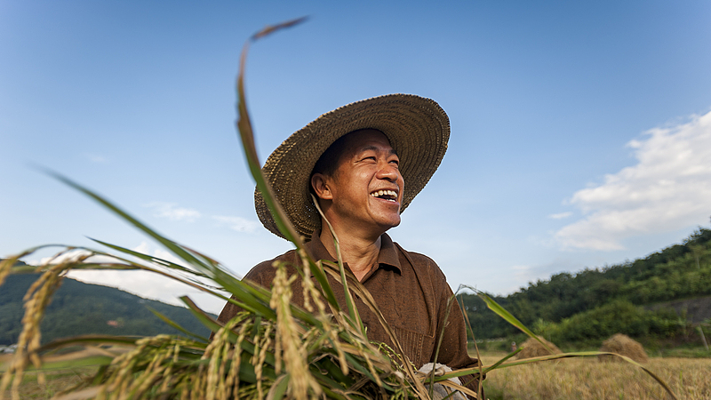 Chine 2025 : Revitalisation rurale et innovation AgriTech Chine_2025___Revitalisation_rurale_et_innovation_AgriTech