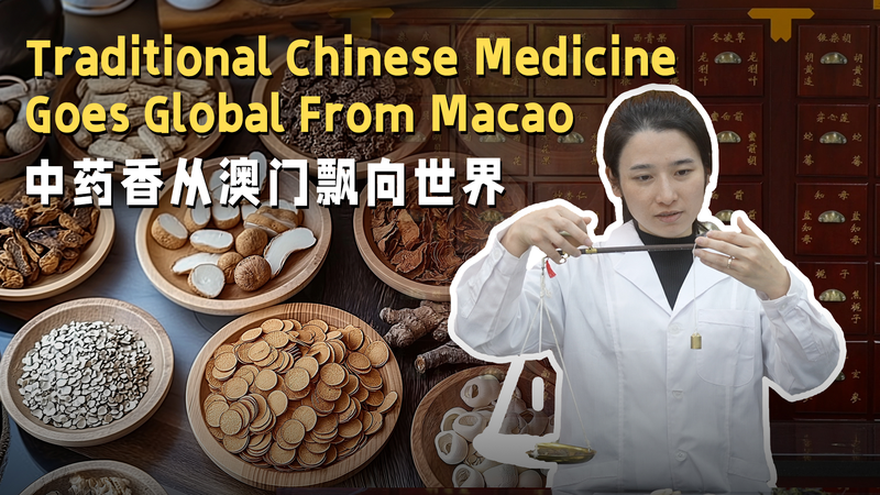 La médecine traditionnelle chinoise se mondialise depuis Macao La médecine traditionnelle chinoise se mondialise depuis Macao video poster