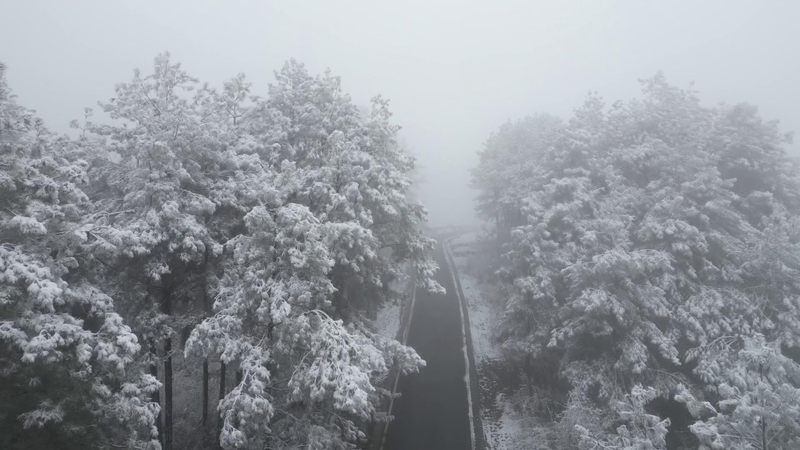 Les premières neiges transforment la montagne du thé en un pays des merveilles argenté Les premières neiges transforment la montagne du thé en un pays des merveilles argenté video poster