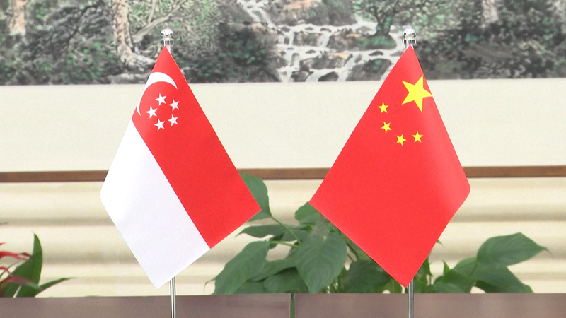 Le vice-président chinois exhorte à renforcer les liens avec Singapour pour le 35ème anniversaire Le vice-président chinois exhorte à renforcer les liens avec Singapour pour le 35ème anniversaire