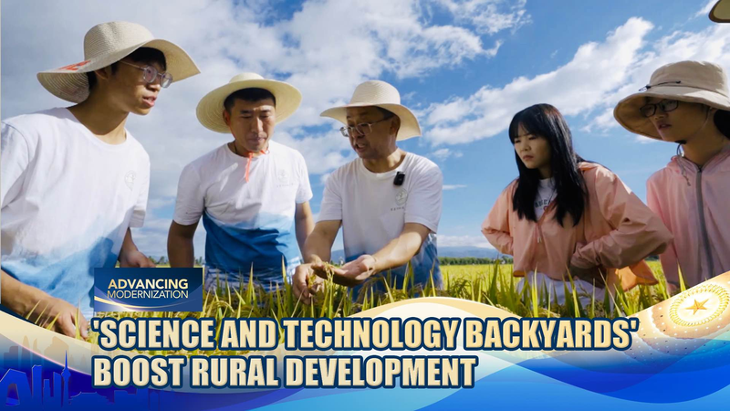 Les arrière-cours technologiques transforment les communautés rurales en Chine continentale Les arrière-cours technologiques transforment les communautés rurales en Chine continentale video poster