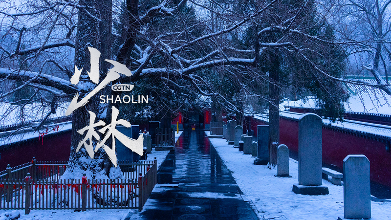 Shaolin sous la neige : Beauté intemporelle au milieu des traditions anciennes