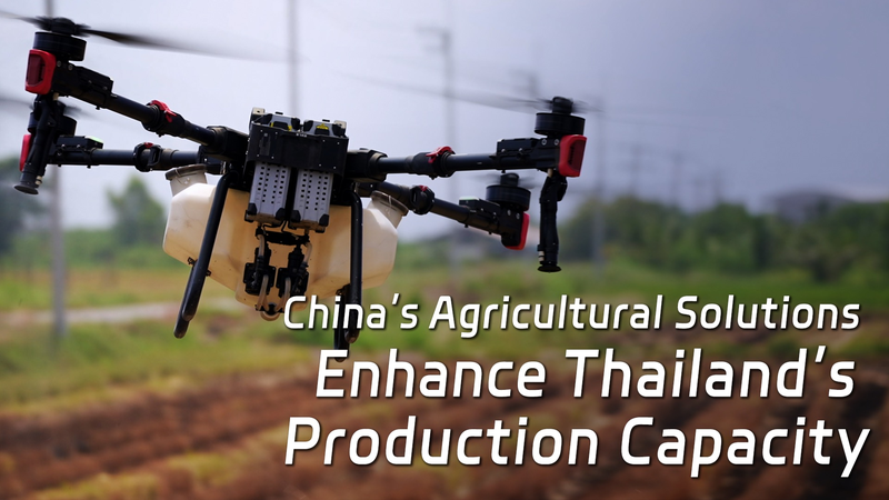 Les drones stimulent la révolution thaïlandaise du durian Les drones stimulent la révolution thaïlandaise du durian video poster