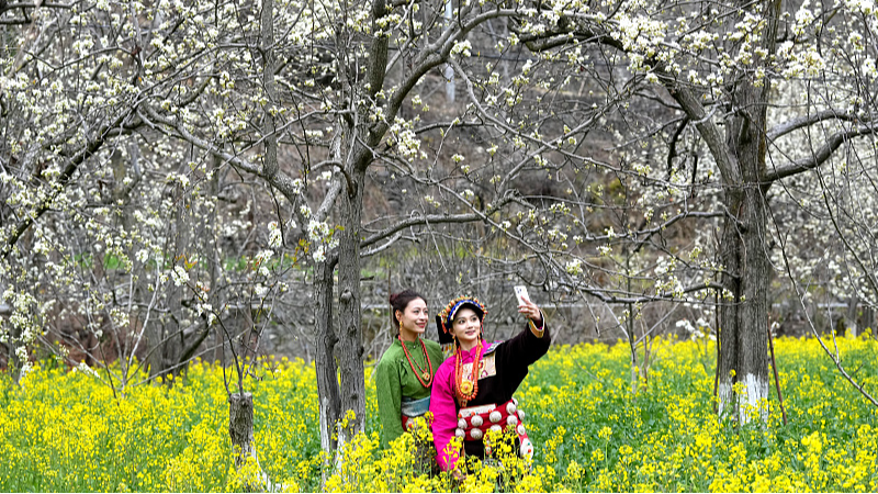 Les_fleurs_de_poirier_transforment_un_village_du_Sichuan