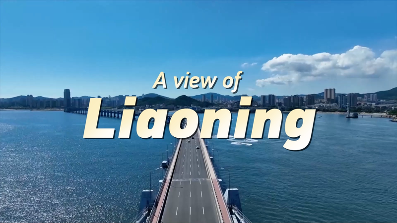 Liaoning se transforme : Nature et innovation high-tech en harmonie Liaoning_se_transforme___Nature_et_innovation_high_tech_en_harmonie video poster