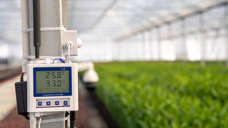 L'agriculture modernisée revitalise la vie rurale en Chine continentale