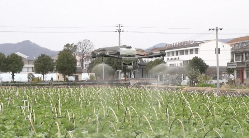 La technologie des drones à basse altitude revitalise l’agriculture dans la Chine continentale La technologie des drones à basse altitude revitalise l'agriculture dans la Chine continentale video poster