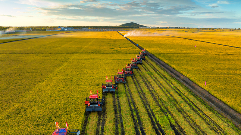 L'accord sur 420 millions de tonnes de céréales en Chine renforce la sécurité alimentaire en 2024