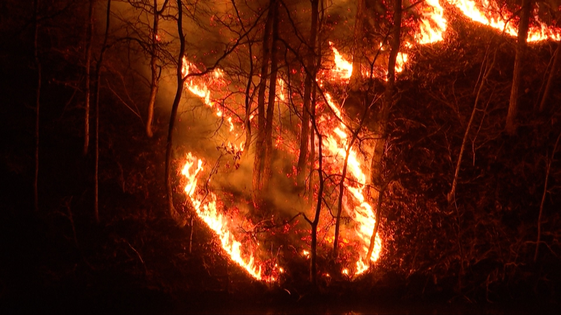 La Corée du Sud confrontée à une catastrophe de feux de forêt féroces : le bilan des morts à 26 La Corée du Sud confrontée à une catastrophe de feux de forêt féroces : le bilan des morts à 26 video poster
