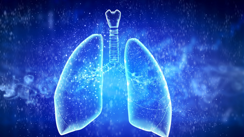 Une nouvelle technologie révolutionne le contrôle de la tuberculose résistante aux médicaments