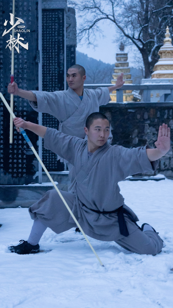 Shaolin en Action : Force, Vitesse & Tradition Shaolin_en_Action___Force__Vitesse___Tradition video poster