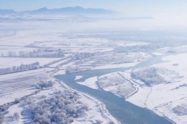 La magie du printemps sur la rivière Ili : Une forêt blanche au Xinjiang La magie du printemps sur la rivière Ili : Une forêt blanche au Xinjiang video poster
