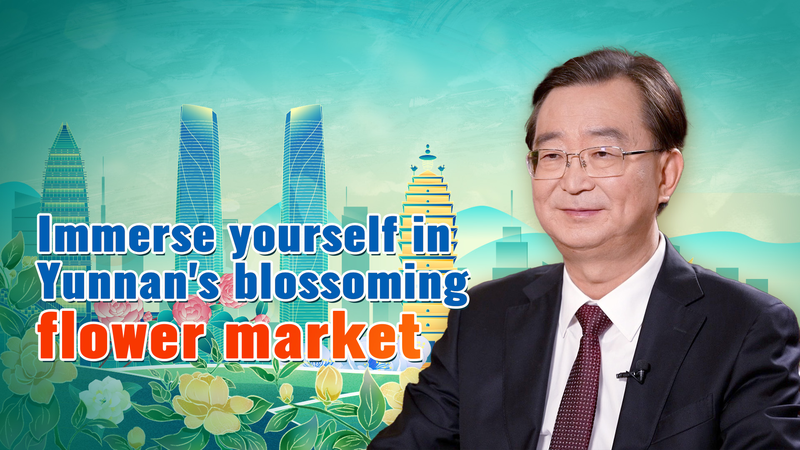 Les floraisons du Yunnan : le président chinois visite un marché aux fleurs florissant Les floraisons du Yunnan : le président chinois visite un marché aux fleurs florissant video poster
