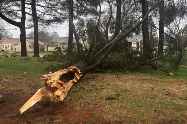 Les tempêtes glaciales perturbent les Grands Lacs ; le Tennessee se prépare à un temps violent Les tempêtes glaciales perturbent les Grands Lacs ; le Tennessee se prépare à un temps violent