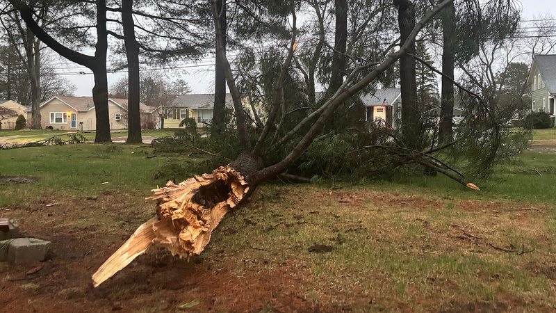 Les tempêtes glaciales perturbent les Grands Lacs ; le Tennessee se prépare à un temps violent