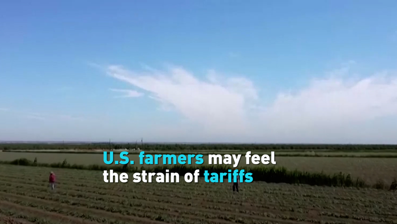 La guerre commerciale de Trump : les agriculteurs américains se préparent au choc video poster