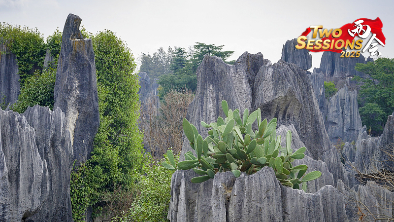 Découvrez la forêt de pierres Shenjian à Guangxi : une merveille naturelle Découvrez la forêt de pierres Shenjian à Guangxi : une merveille naturelle video poster