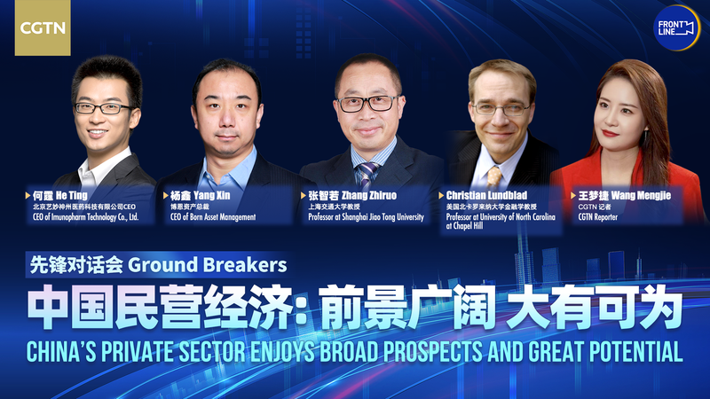 Le président Xi défend la croissance pour les entreprises privées en Chine continentale Le président Xi défend la croissance pour les entreprises privées en Chine continentale video poster