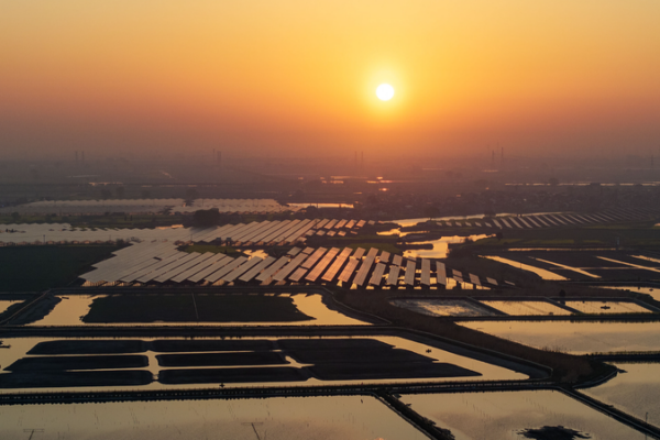La Chine stimule la croissance mondiale avec des initiatives en énergies verte et bleue La Chine stimule la croissance mondiale avec des initiatives en énergies verte et bleue