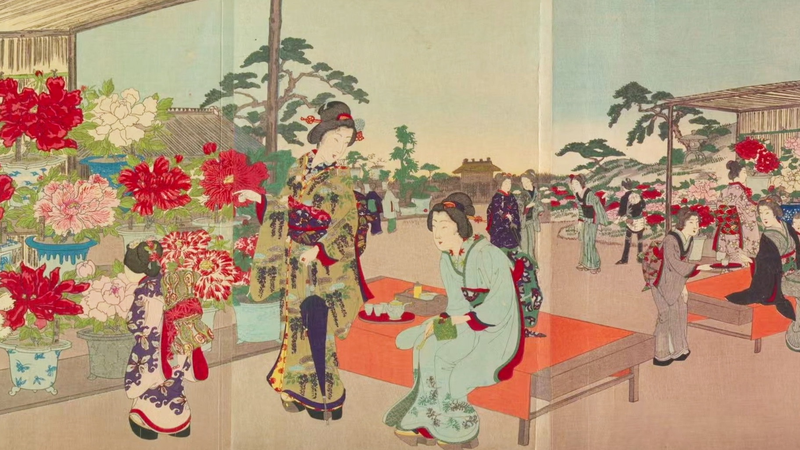 Heze et Gifu : L'éclosion des liens d'amitié video poster