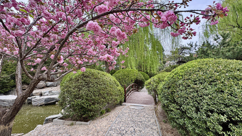 Shuangxiu Park de Pékin : Une fusion de l'art du jardin video poster