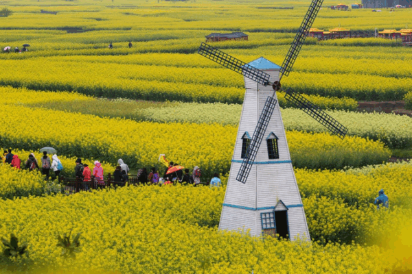 Voyages de printemps en fleur : le rail à grande vitesse stimule les aventures d’avril Voyages de printemps en fleur : le rail à grande vitesse stimule les aventures d'avril