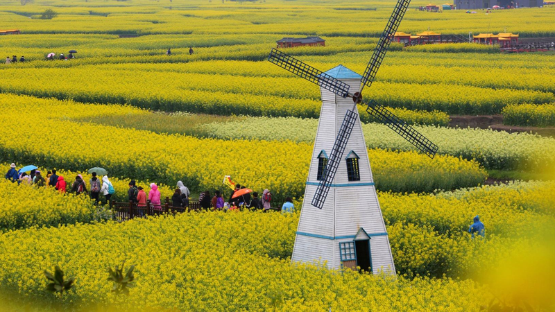 Voyages de printemps en fleur : le rail à grande vitesse stimule les aventures d'avril