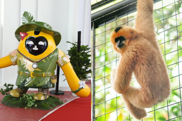 Les mascottes de l’Expo Hainan rendent hommage à la conservation des gibbons Les mascottes de l'Expo Hainan rendent hommage à la conservation des gibbons