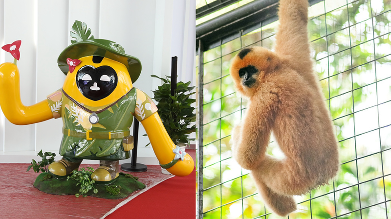 Les mascottes de l'Expo Hainan rendent hommage à la conservation des gibbons