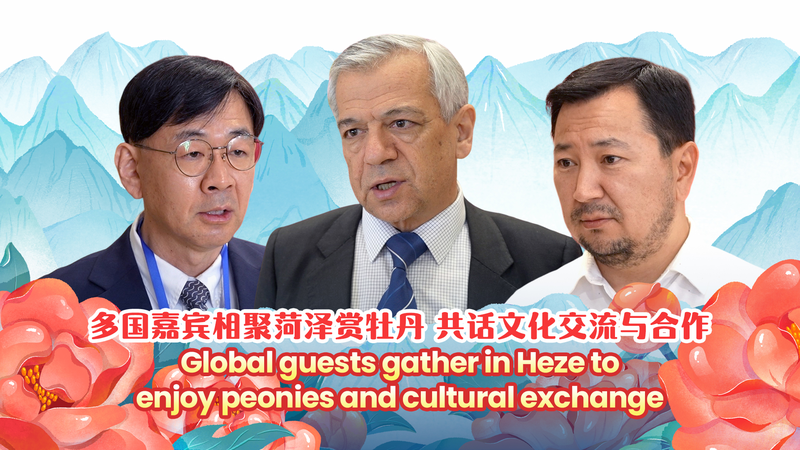 Le Festival de Pivoines de Heze Suscite un Échange Culturel Mondial video poster