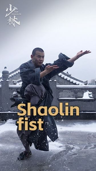 Kung-fu Shaolin : Puissance intérieure libérée video poster