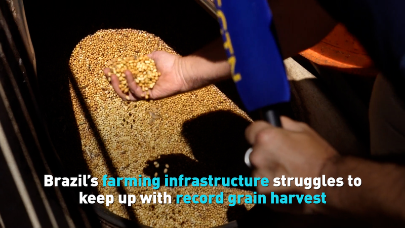 La récolte record de grains au Brésil rencontre un problème de stockage La récolte record de grains au Brésil rencontre un problème de stockage video poster