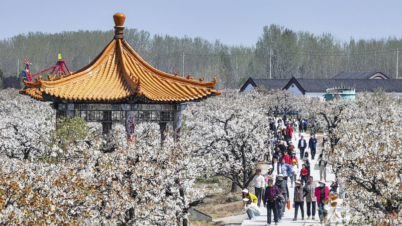 Le_voyage_explose_sur_le_continent_chinois_pendant_le_festival_Qingming
