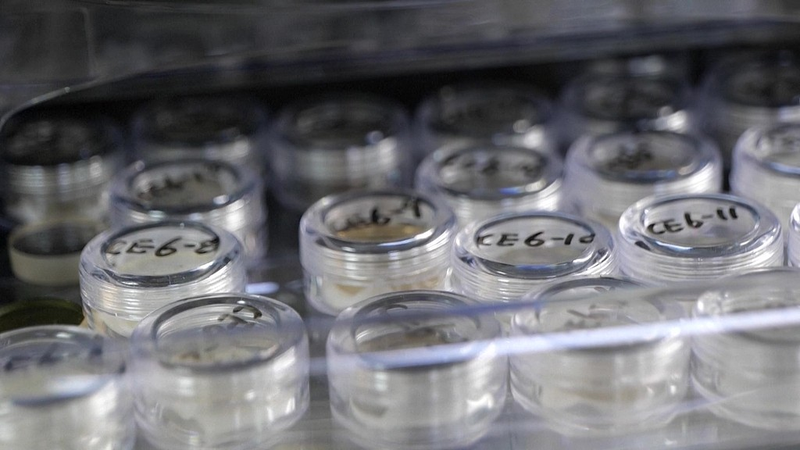 La Chine invite les scientifiques américains et mondiaux à explorer des échantillons lunaires