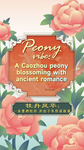 Caozhou Peony: Fleurs des légendes anciennes video poster