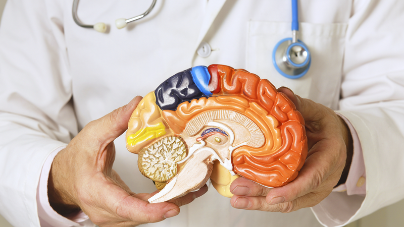 Journée mondiale de Parkinson : Un guide rapide
