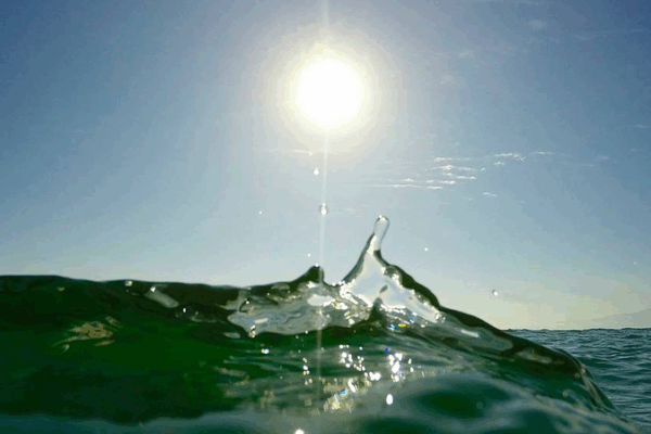 Les vagues de chaleur marine ont triplé en 80 ans – L’étude révèle les risques pour les océans Les vagues de chaleur marine ont triplé en 80 ans - L'étude révèle les risques pour les océans