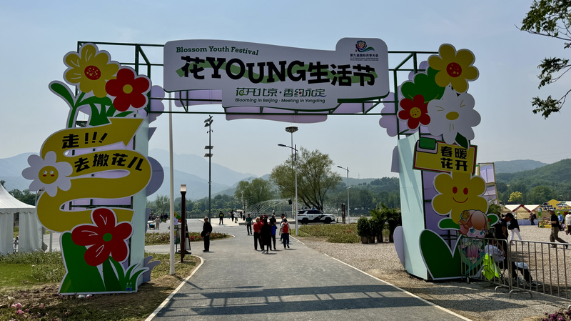 Les roses et la vie créative fleurissent au festival de la jeunesse Blossom à Pékin Les roses et la vie créative fleurissent au festival de la jeunesse Blossom à Pékin video poster