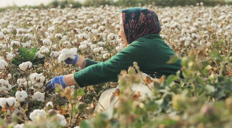 Tissu de vies : les champs de coton d’Awati à l’écran Tissu de vies : les champs de coton d'Awati à l'écran video poster