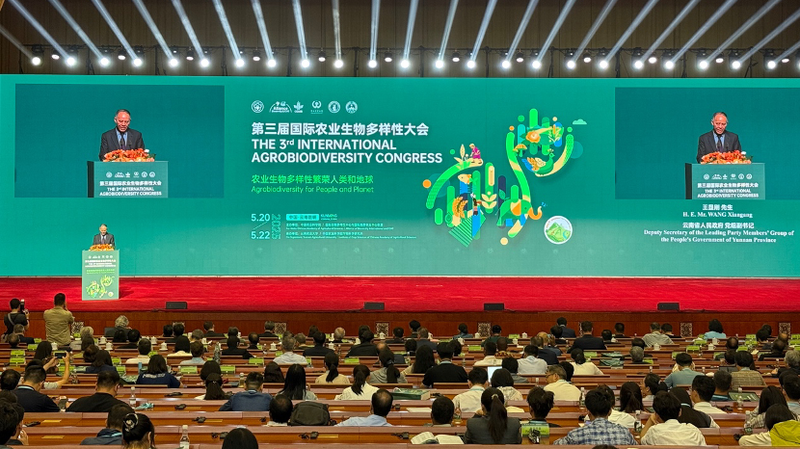 Des experts mondiaux s'unissent à Kunming pour protéger l'agrobiodiversité