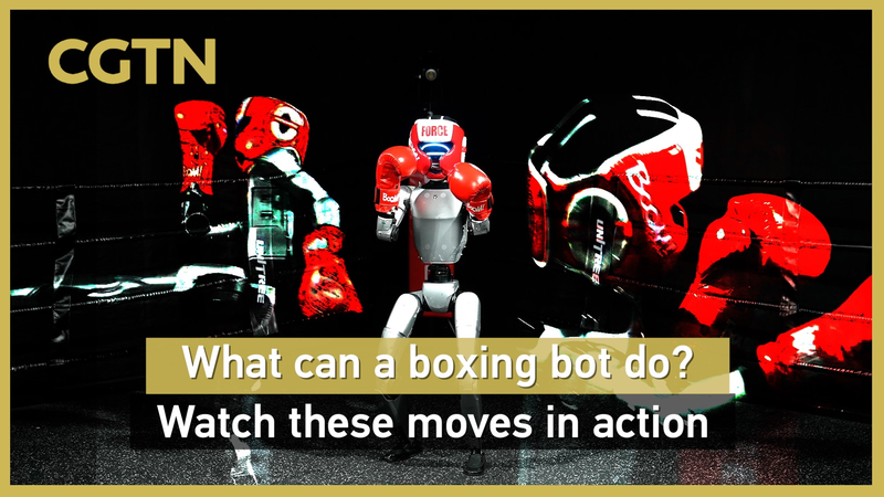 Des robots humanoïdes boxeurs entrent dans l’histoire à Hangzhou Des robots humanoïdes boxeurs entrent dans l'histoire à Hangzhou video poster