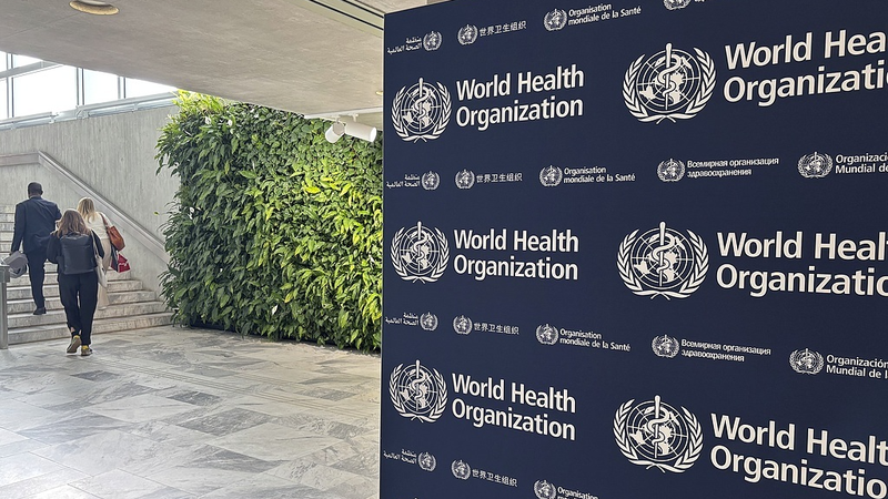 L’Assemblée mondiale de la santé rejette à nouveau la proposition d’observateur de la région de Taïwan lors de la 78e session L'Assemblée mondiale de la santé rejette à nouveau la proposition d'observateur de la région de Taïwan lors de la 78e session