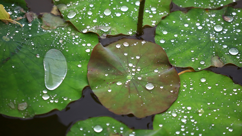 Alerte bleue pour fortes pluies sur le continent chinois Alerte_bleue_pour_fortes_pluies_sur_le_continent_chinois