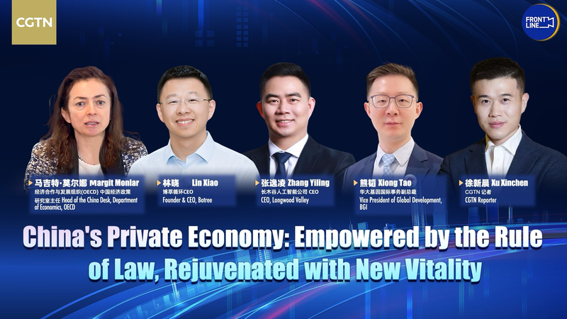 La nouvelle loi chinoise sur le secteur privé : un coup de pouce pour les affaires et l’innovation La nouvelle loi chinoise sur le secteur privé : un coup de pouce pour les affaires et l'innovation video poster
