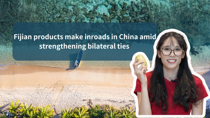 Les produits fidjiens surfent sur une nouvelle vague dans les marchés du continent chinois Les produits fidjiens surfent sur une nouvelle vague dans les marchés du continent chinois video poster